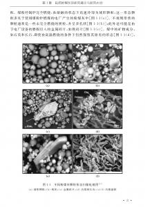 脱硫粉煤灰释放动力学特征与资源化利用研究_页面_09