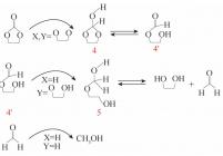 (PNP)RuII催化环状碳酸酯加氢的机理