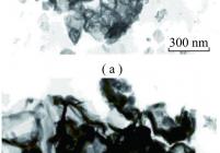 疏中质组泡状结构的 TEM 图片